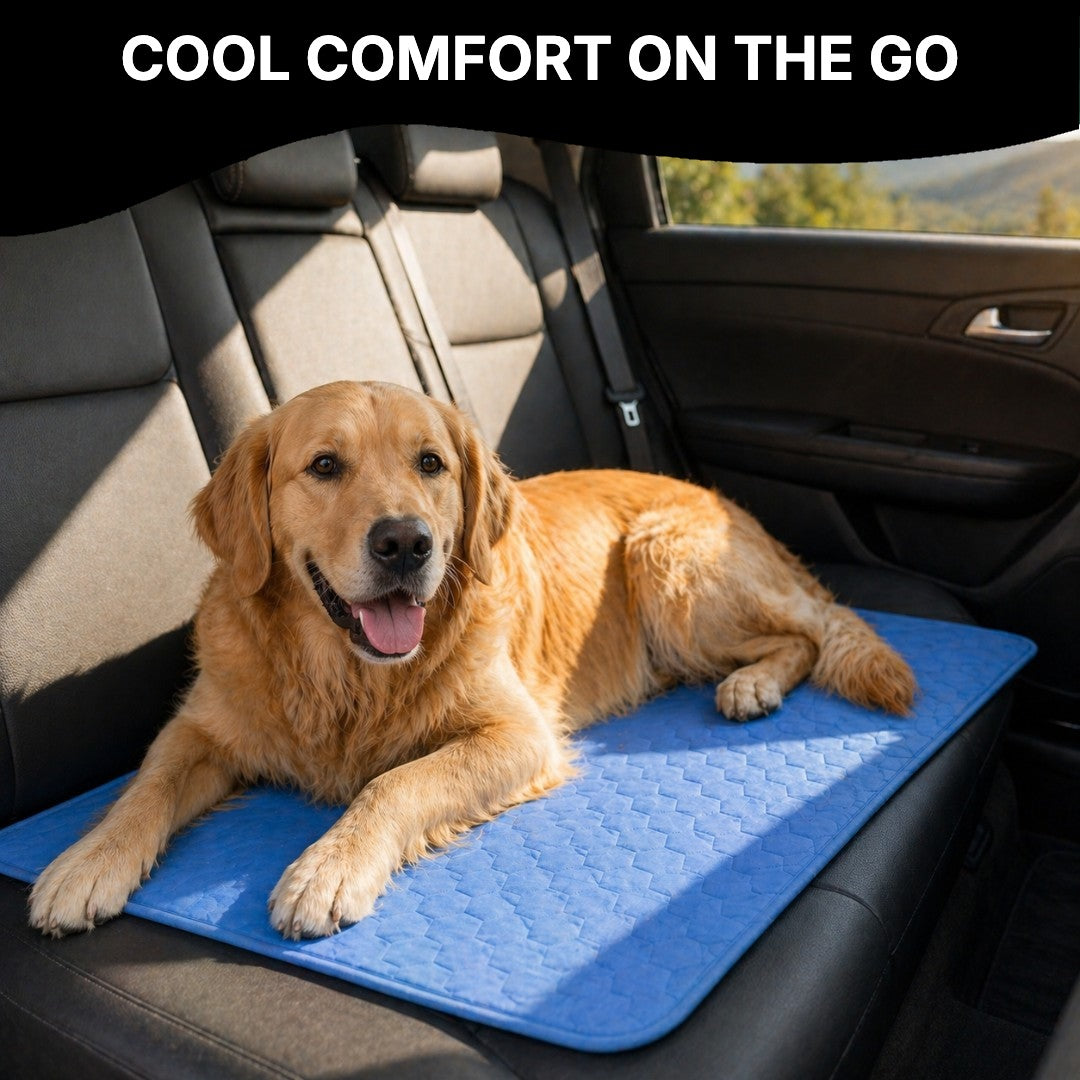 Dog lying on a cooling mat in the car