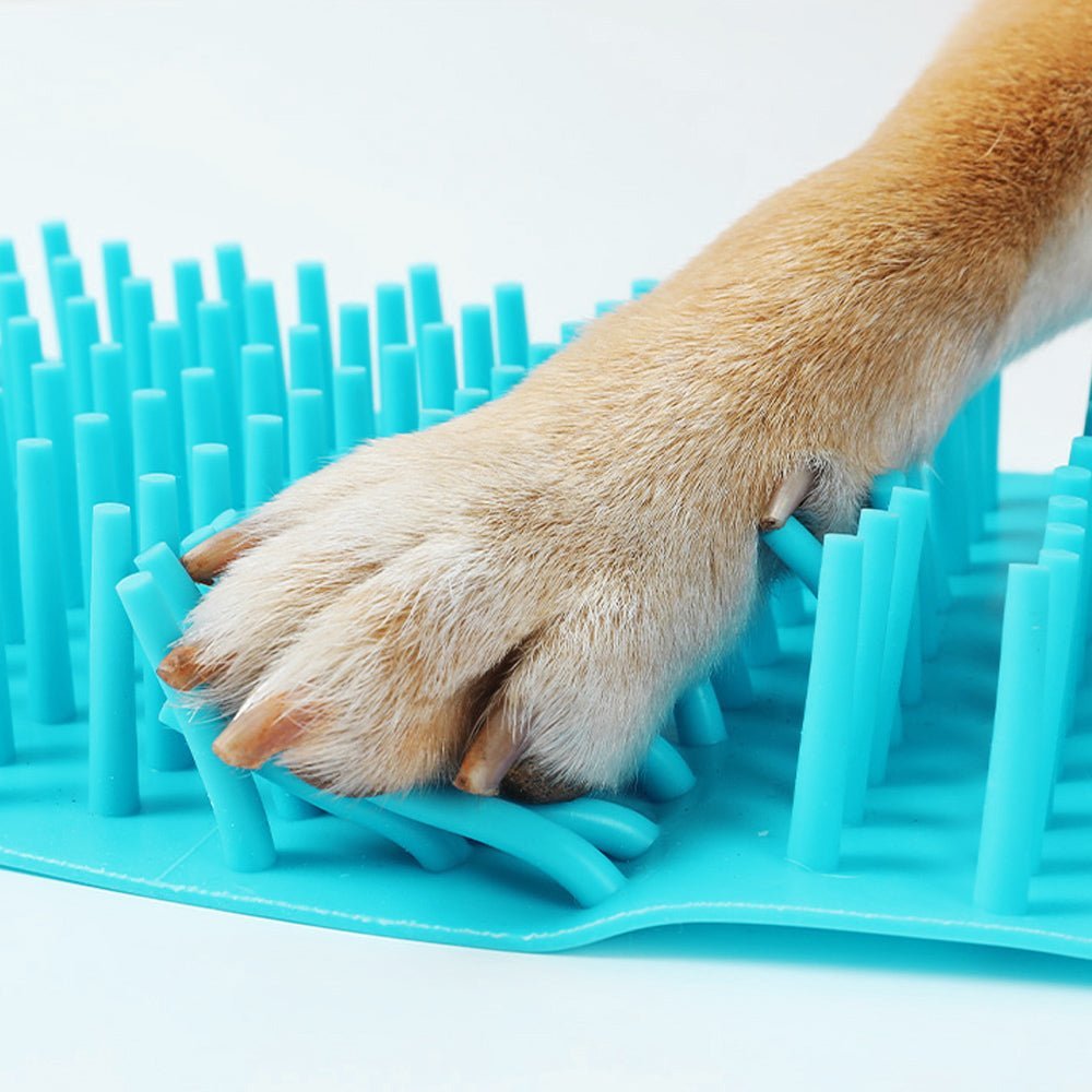 Blue silicone dog paw cleaner cup held in a hand next to a sitting Shiba Inu dog (view 3)