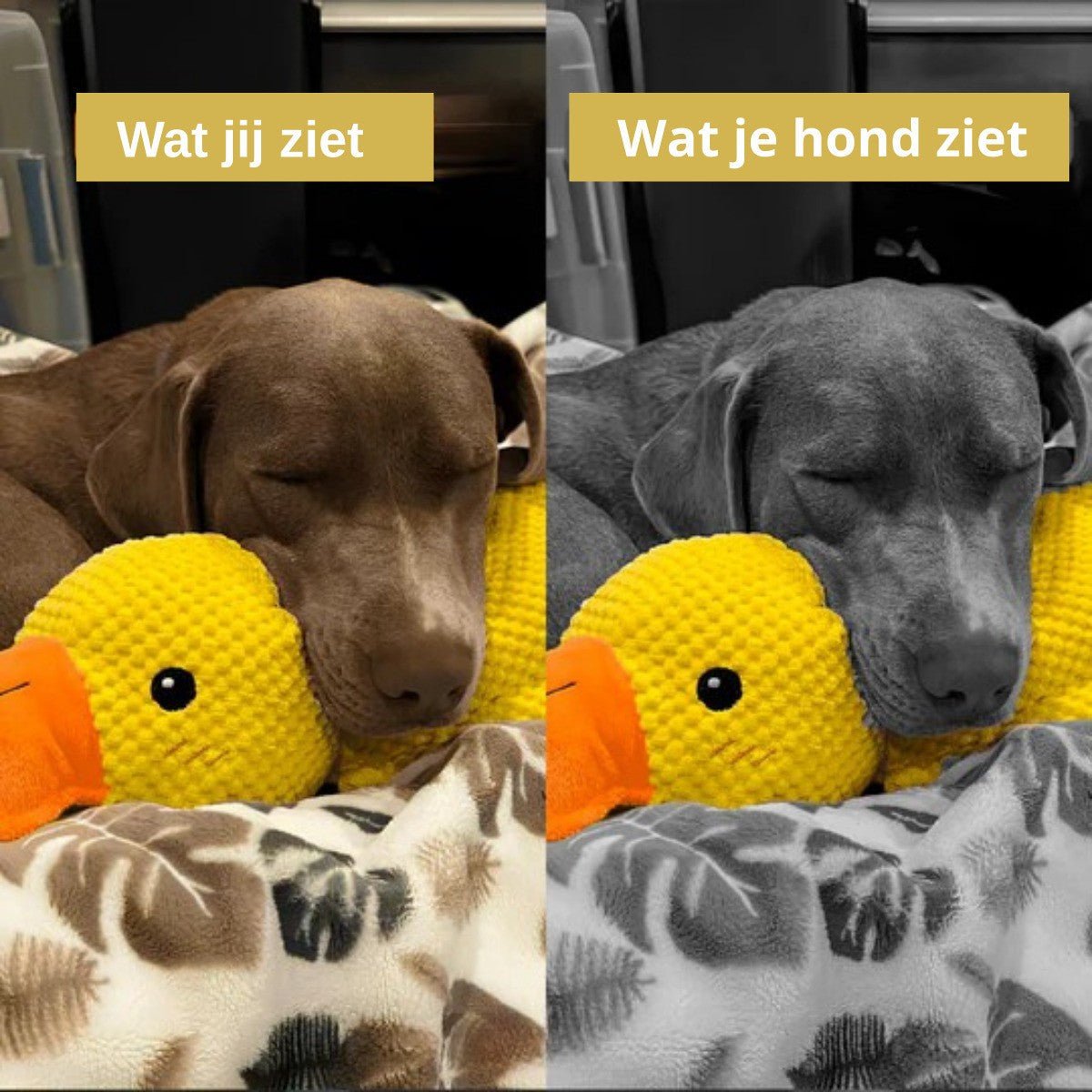 Yellow plush duck dog toy with orange bill and feet, textured fabric, lying on a light surface (view 6)
