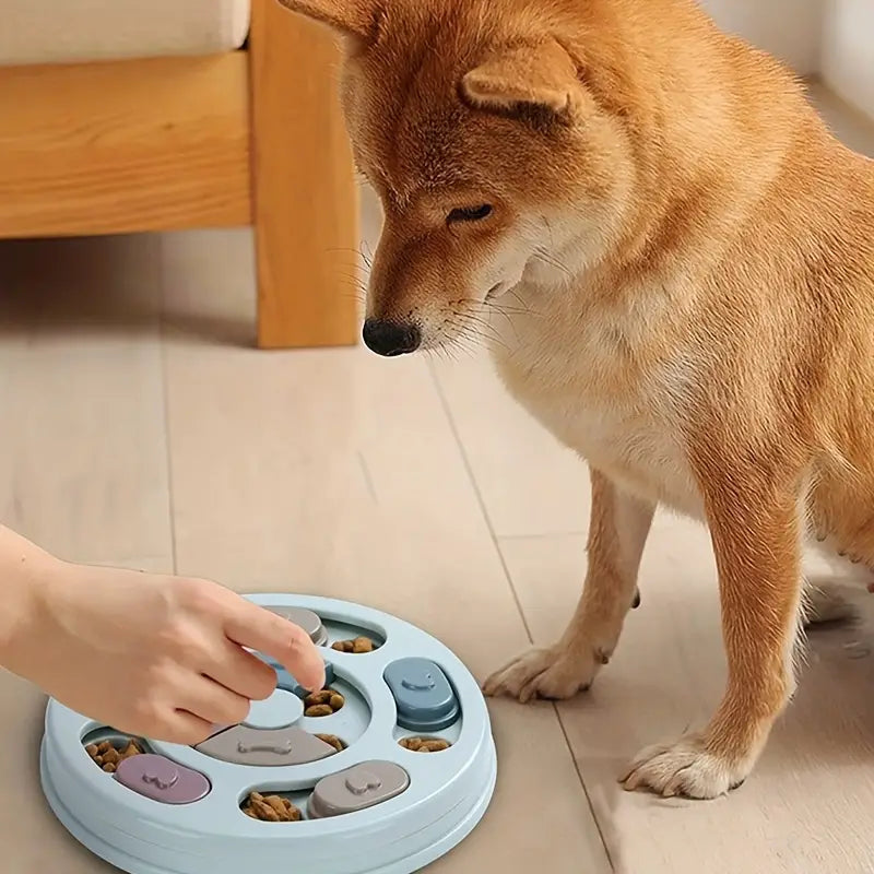Dog playing with the puzzle feeder