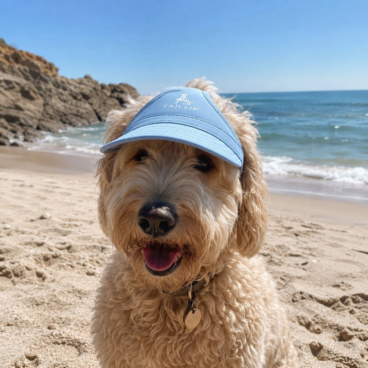 Light blue dog sun visor cap with wide brim and ear holes worn by a dog at the beach