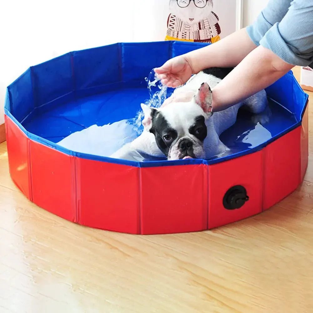 Foldable dog swimming pool in blue, shown open, folded flat, and with a dog standing inside on grass (view 2)