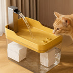 Pet water fountain at home