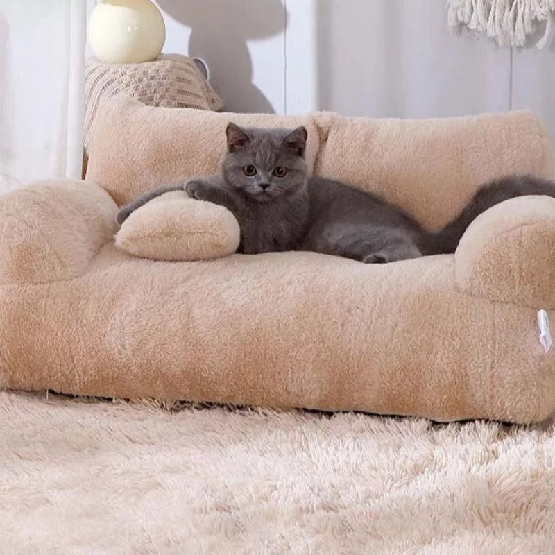 Dog resting in the sofa bed