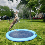 Dog playing on splash pad sprinkler mat
