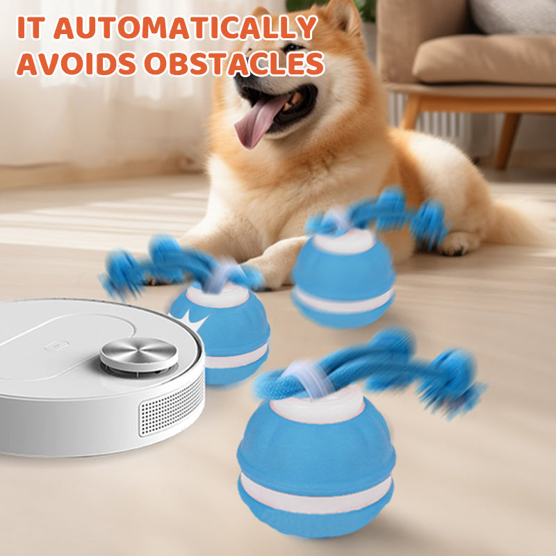Cat chasing rolling ball