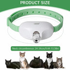 Laser collar neck size guide