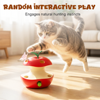 Random interactive play for cats