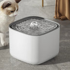 White pet water fountain