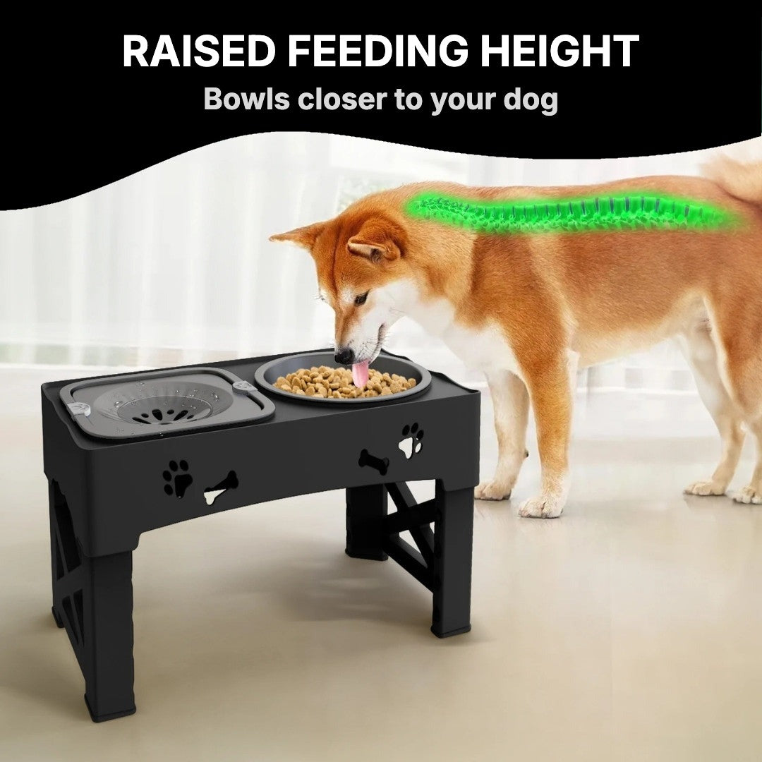 Dog eating from the raised feeder