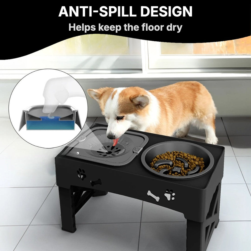Dog eating from the anti-spill feeder