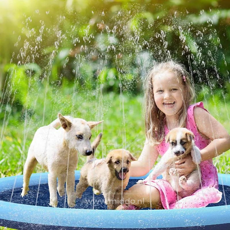 Pets and kids on the splash pad