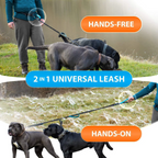 Hands-free walking with two dogs