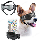 Dog wearing protective goggles