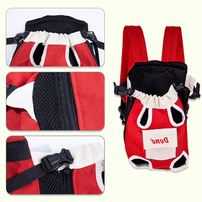 Cat in canvas carrier