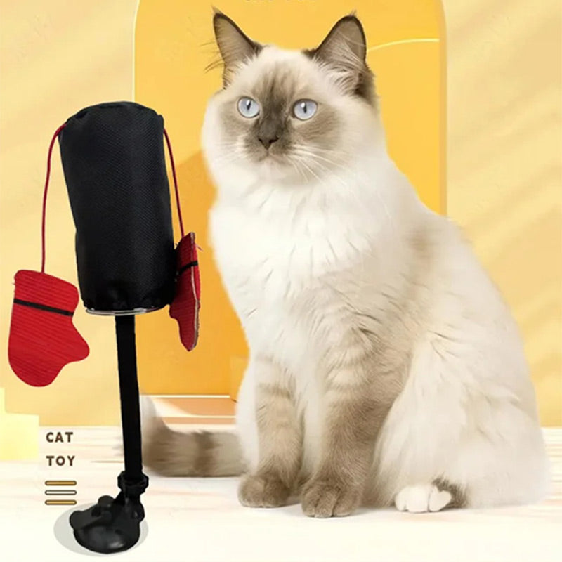 Cat playing with interactive toy