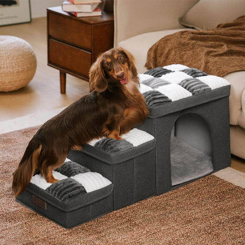 Dog using pet steps to reach sofa