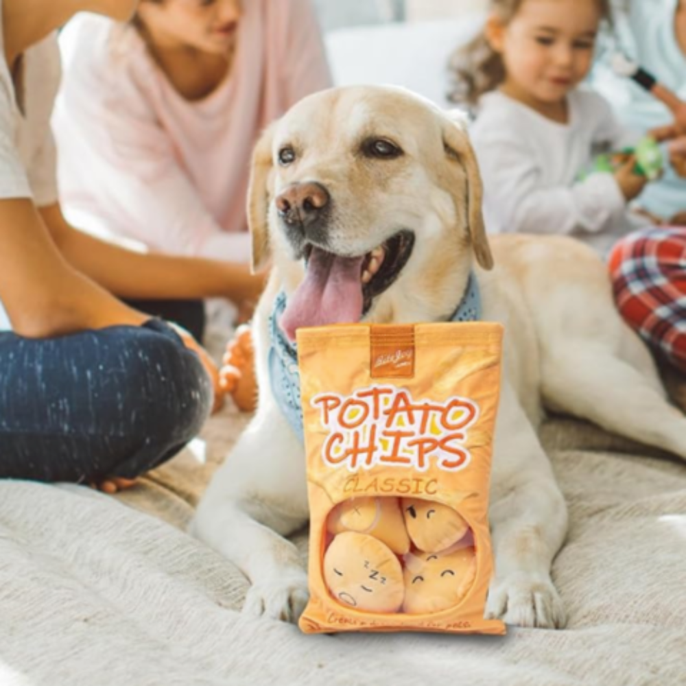 Dog playing with chip bag toy