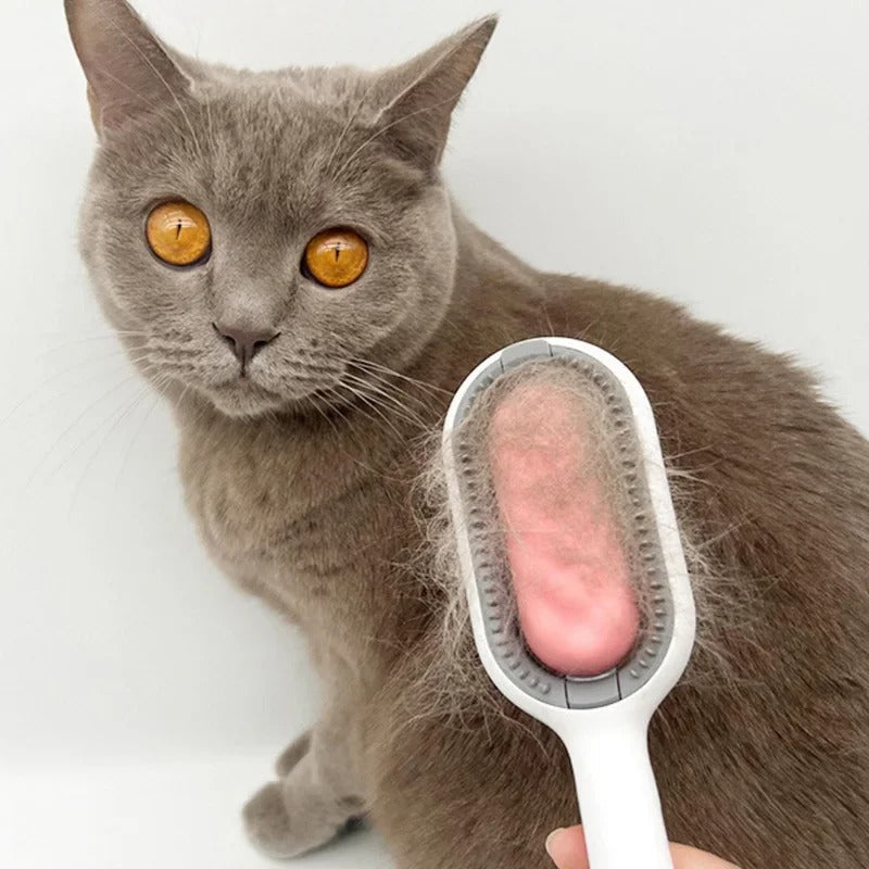Brushing a pet with the silicone brush