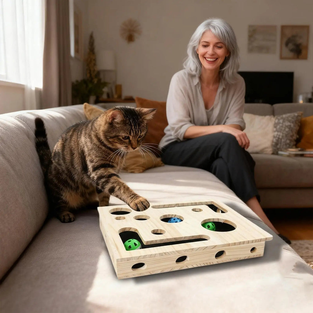 Cat using the scratch box