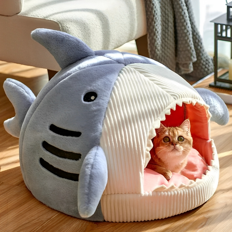 Shark cat bed front view