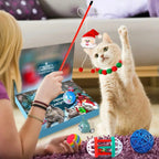 Assorted cat toys from the calendar