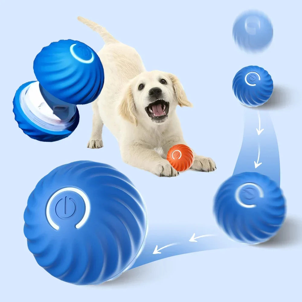 Puppy chasing the rolling ball