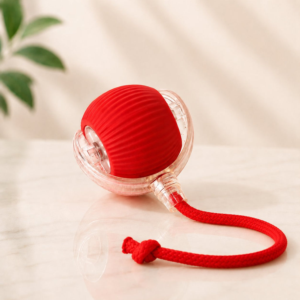 Red silicone interactive rolling pet ball with braided rope tail, shown with a cat playing indoors (view 2)