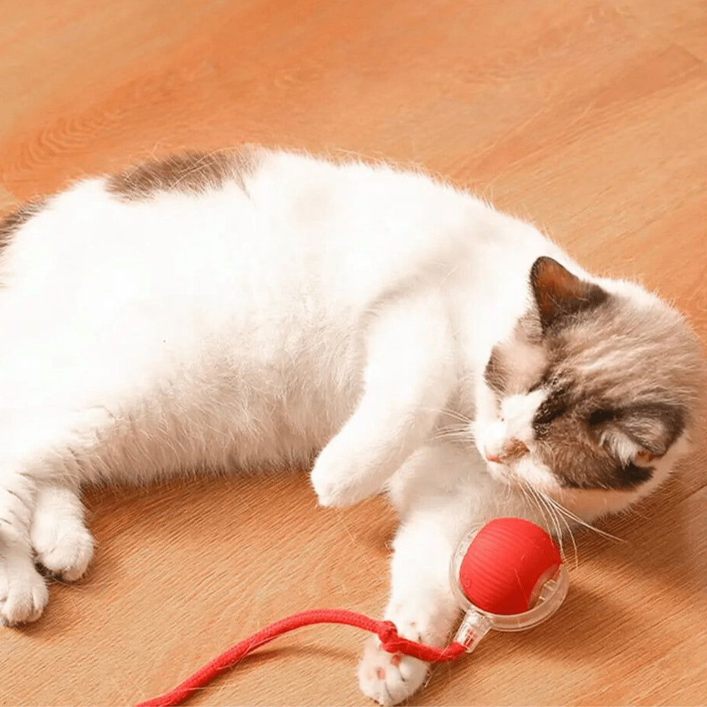 Red silicone interactive rolling pet ball with braided rope tail, shown with a cat playing indoors (view 3)