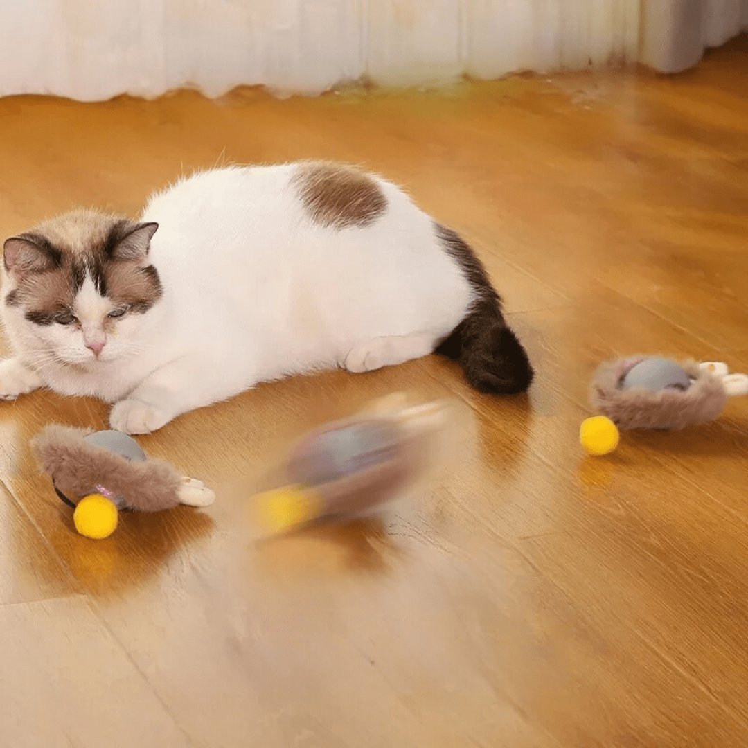Red silicone interactive rolling pet ball with braided rope tail, shown with a cat playing indoors (view 4)