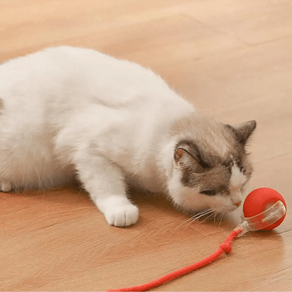 Red silicone interactive rolling pet ball with braided rope tail, shown with a cat playing indoors (view 5)