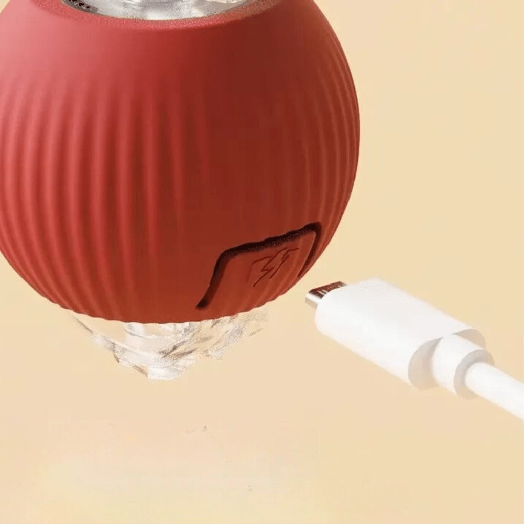 Red silicone interactive rolling pet ball with braided rope tail, shown with a cat playing indoors (view 8)