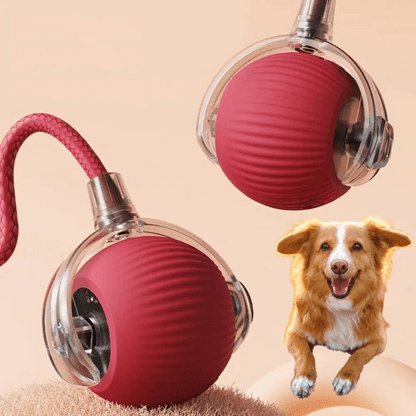 Red silicone interactive rolling pet ball with braided rope tail, shown with a cat playing indoors