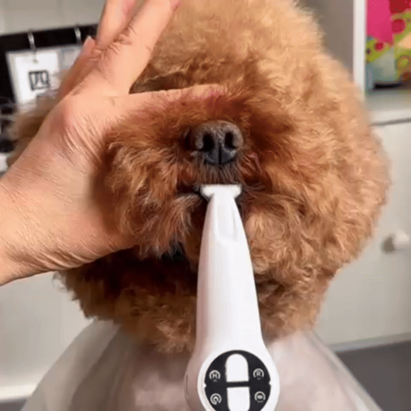 2-in-1 Electric Pet Nail Trimmer & File | Quiet Motor | LED Light | USB Rechargeable | Safe Grooming Tool