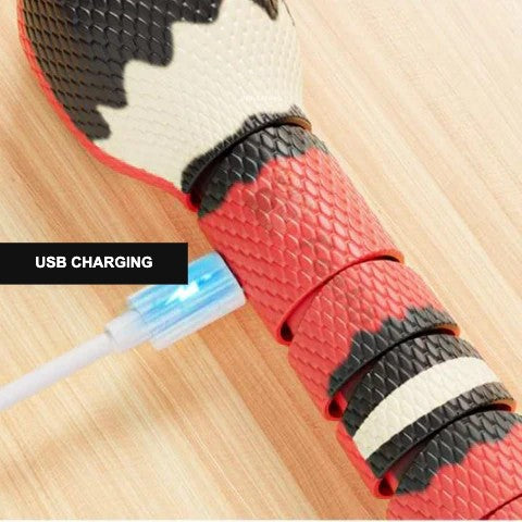 Snake toy with USB charging cable