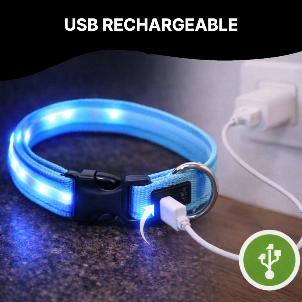LED collar charging via USB