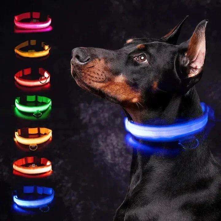 LED collar colour options