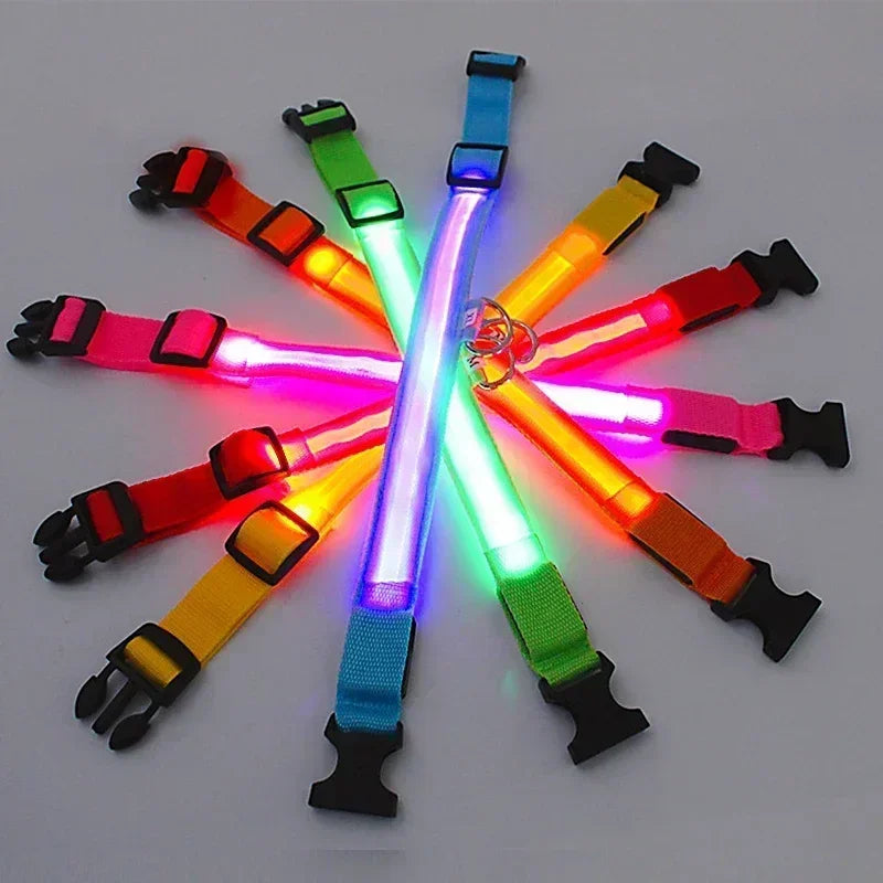 LED collars in seven colours