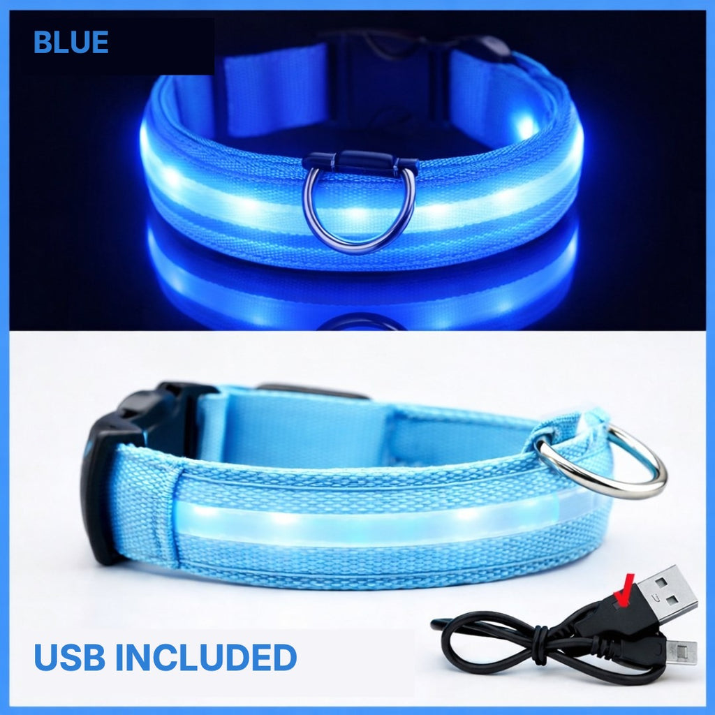 Blue LED dog collar