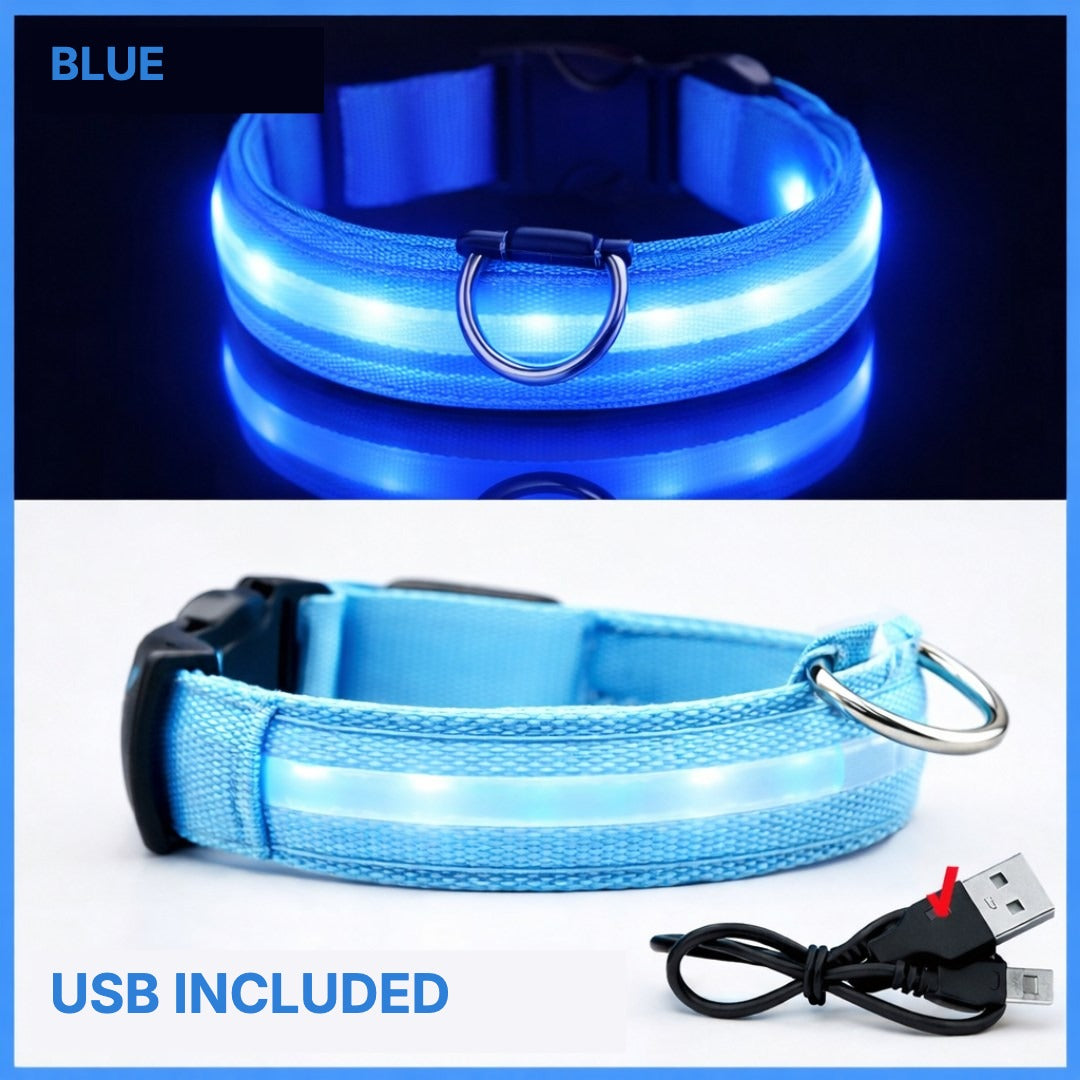 Blue LED dog collar