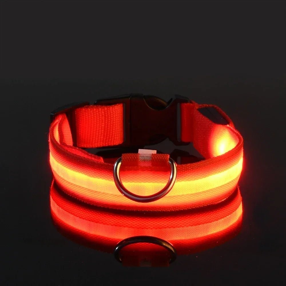 Blue LED dog collar glowing with white light strip, black buckle and metal D-ring on marble surface (view 8)