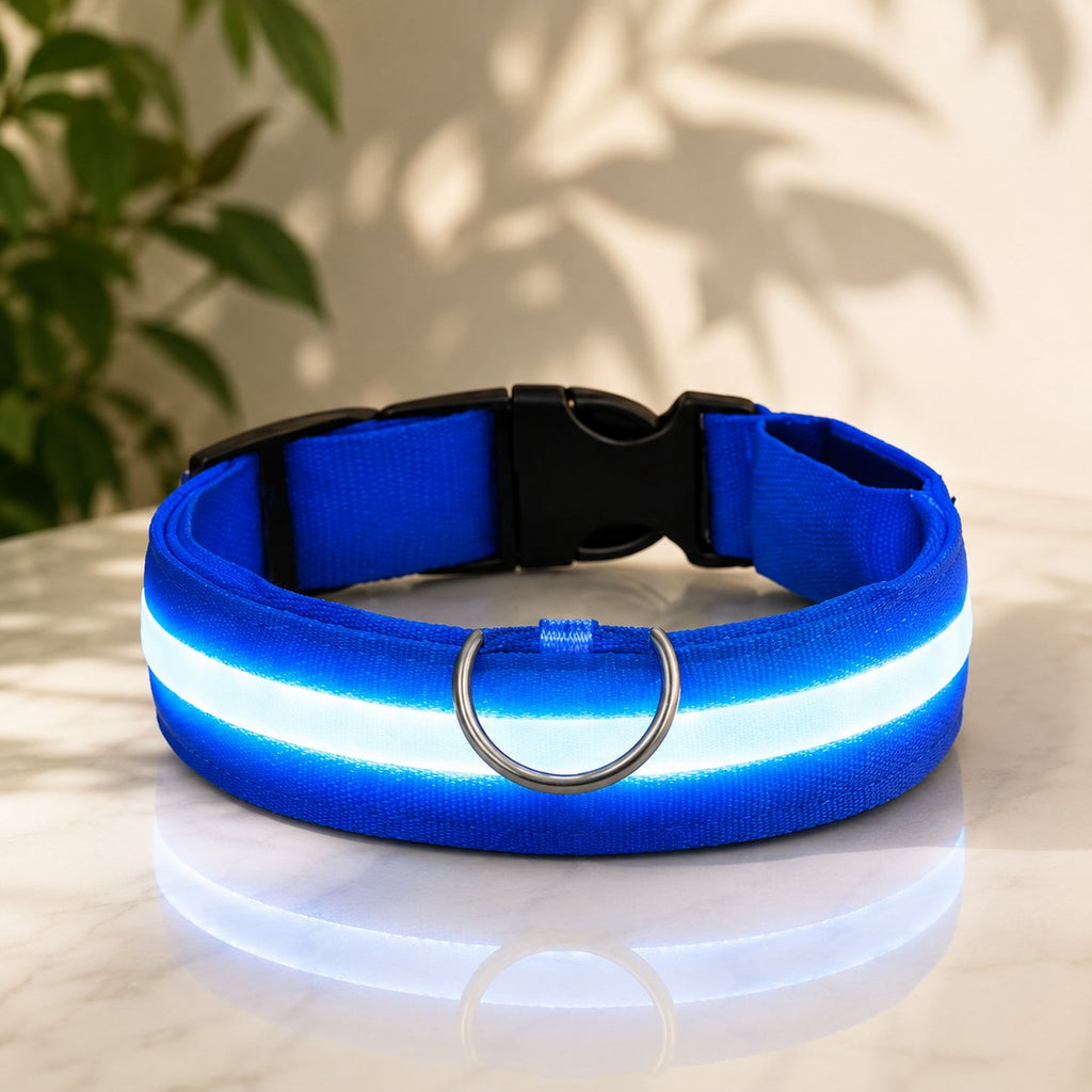 Blue LED dog collar glowing with white light strip, black buckle and metal D-ring on marble surface