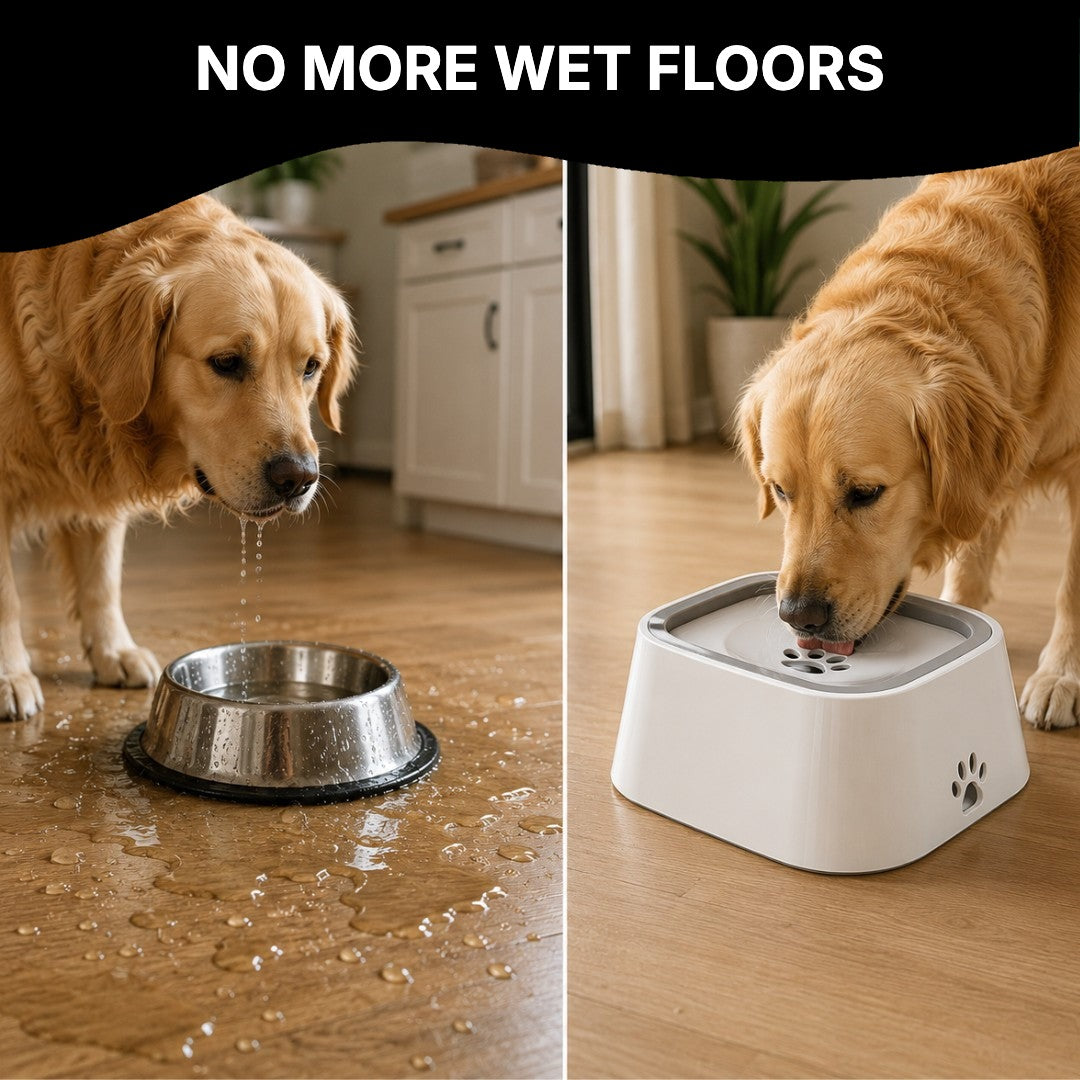 Comparison of a regular bowl and the no-spill bowl