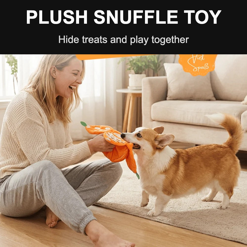 Woman playing with a dog and plush snuffle toy