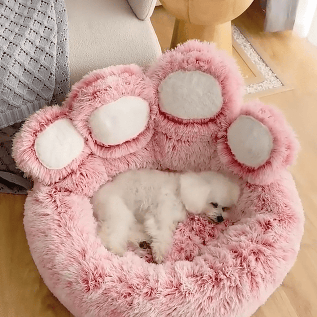 Small dog in the pink paw bed