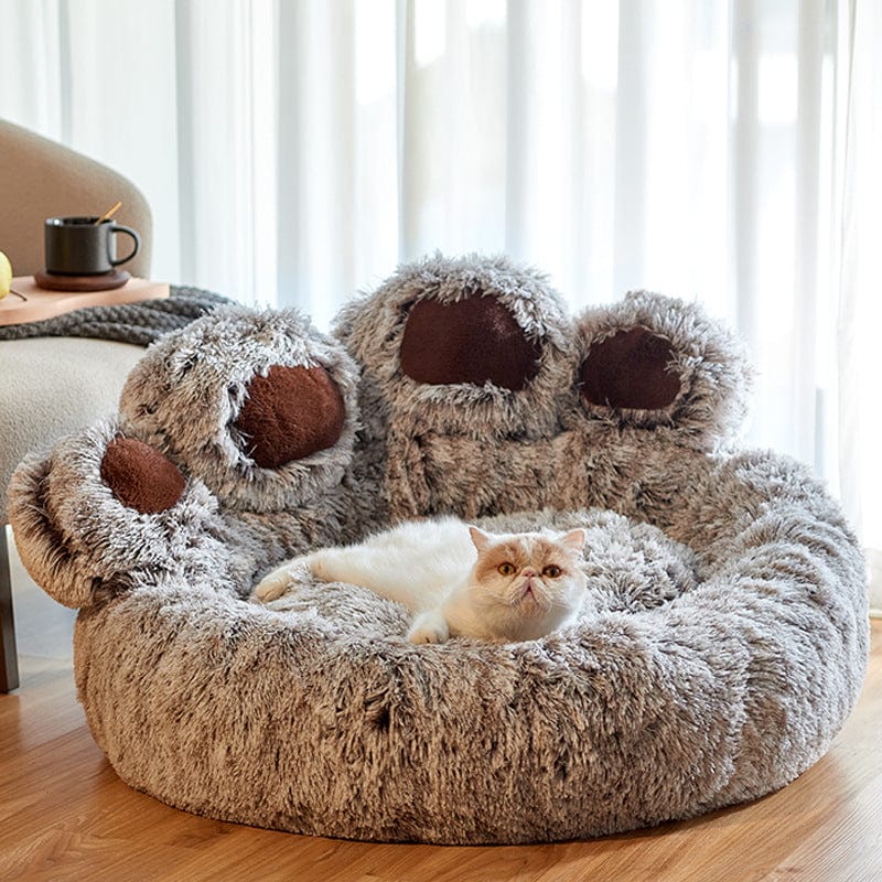 Cat in the grey paw bed