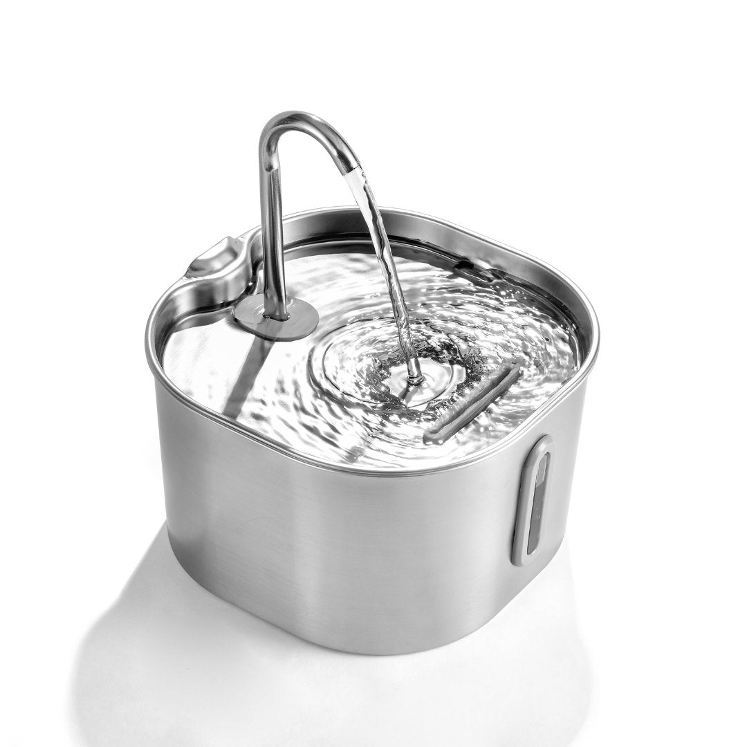 Stainless steel pet water fountain with arched spout and blue water level window, cat drinking from it