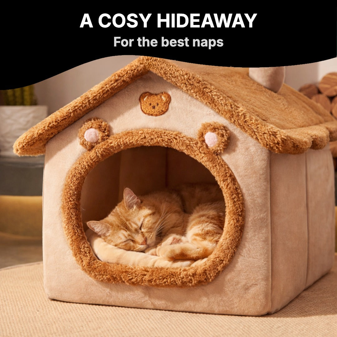 Cat sleeping in the plush house