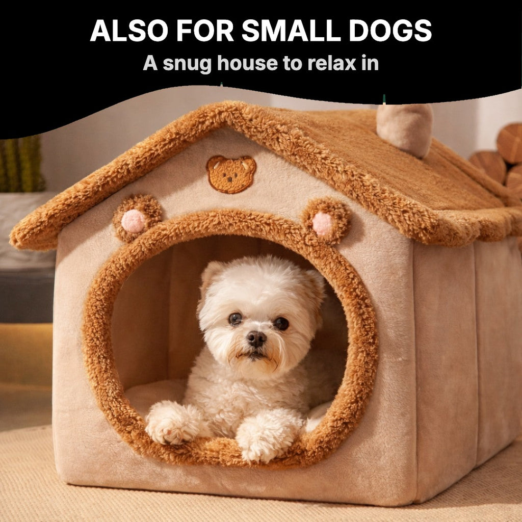 Small dog in the plush house