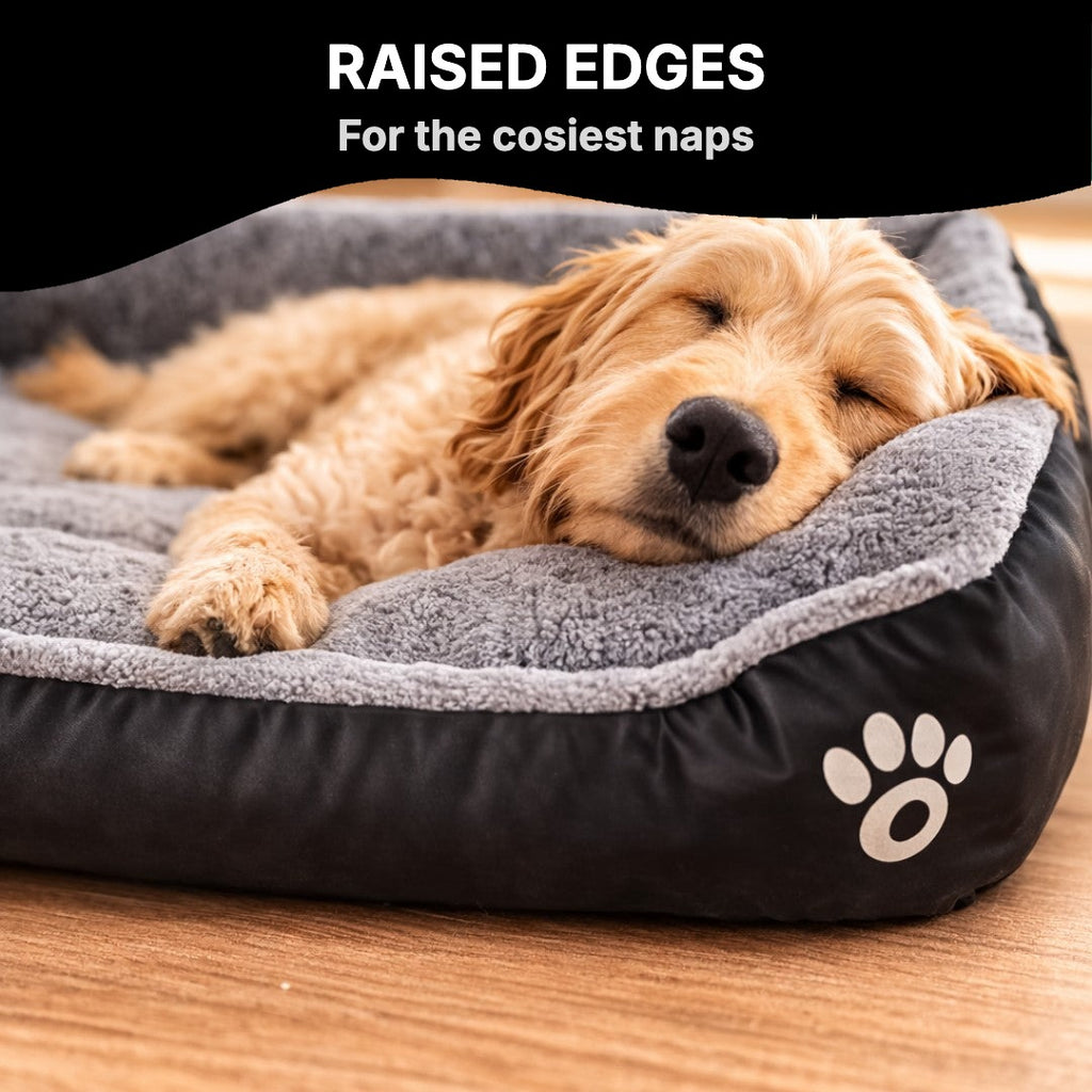 Dog resting its head on the raised edge